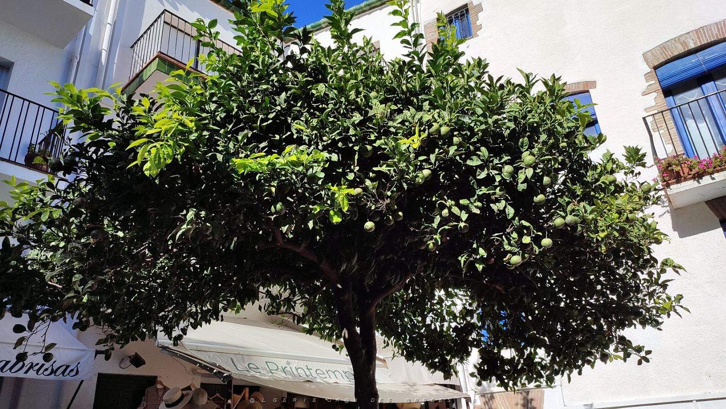 Cadaques - 26.09.2023 - 10.jpg